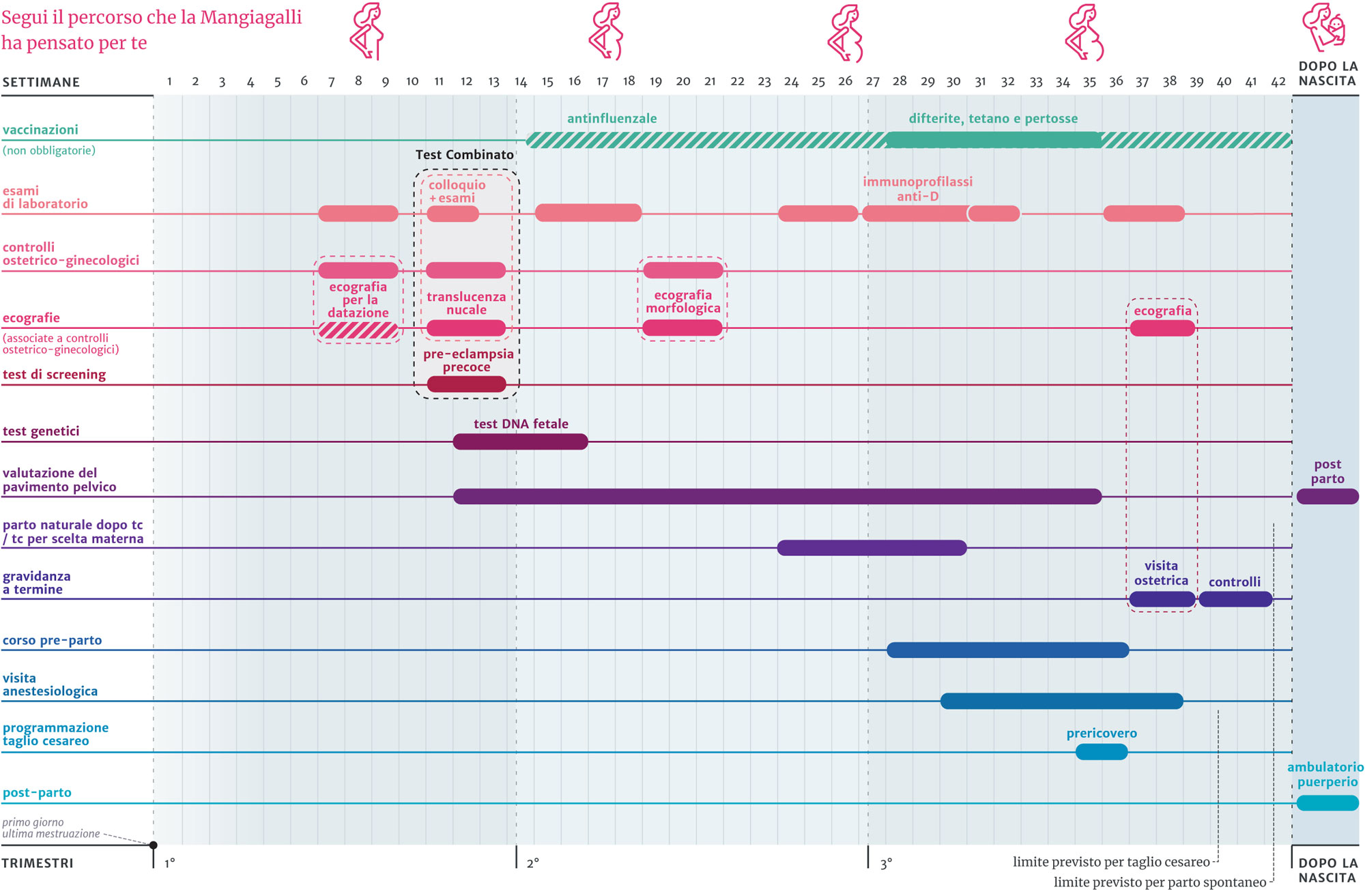 Tabella 1 - calendario-gravidanza-mangiagalli